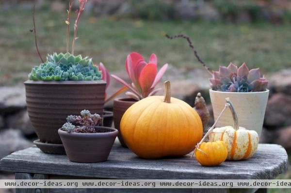 traditional patio Pumpkins