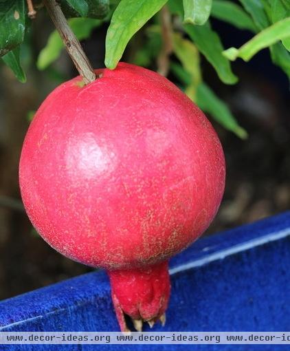 Pint-Size Fall Harvest