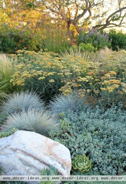 contemporary landscape by Bliss Garden Design