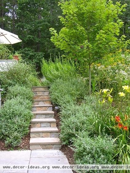 modern landscape Virginia Countryside Cottage