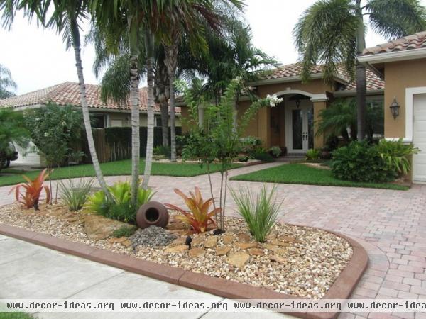 tropical landscape South FLA Landscape