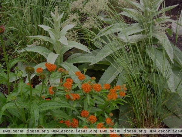 contemporary landscape by Brian Maloney Design Associates