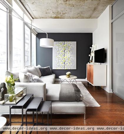 contemporary living room by Lisa Petrole Photography