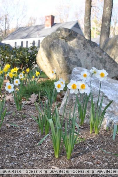 traditional landscape by Timothy Sheehan, ASLA