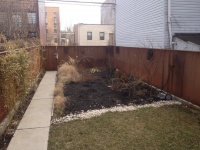 A Front Yard Regrows in Brooklyn