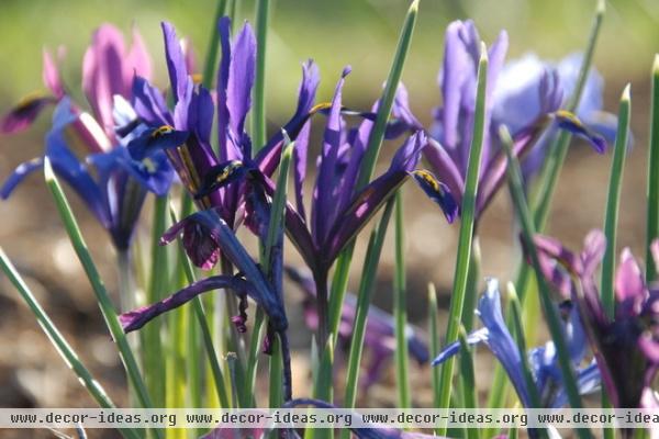 landscape by Susan Teare, Professional Photographer