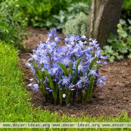 landscape by Longfield Gardens