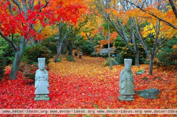 asian landscape by BAYBERRY NURSERIES