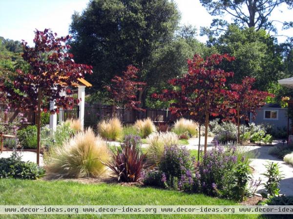 mediterranean landscape by Dig Your Garden Landscape Design