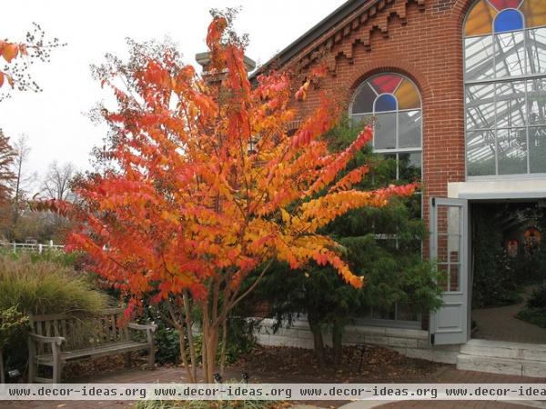 traditional landscape by Missouri Botanical Garden