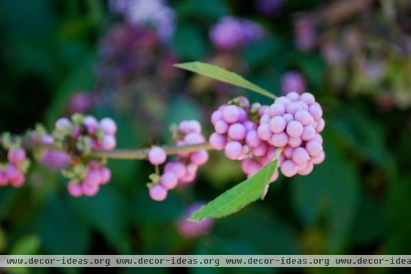 by Jay Sifford Garden Design