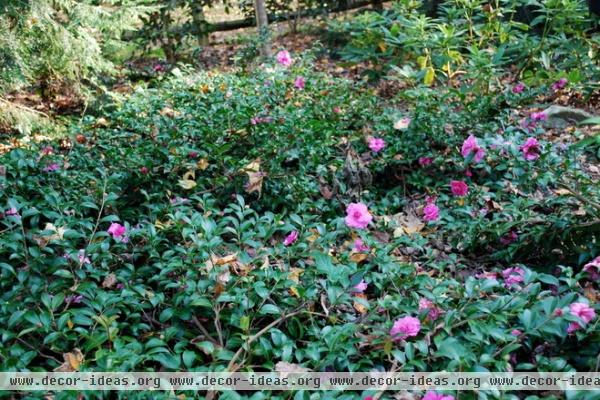 by Jay Sifford Garden Design