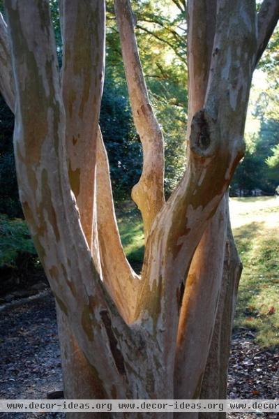 by Jay Sifford Garden Design