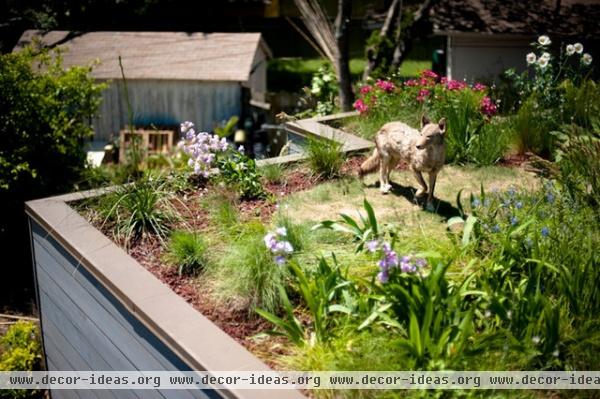 traditional landscape by Casey Boyter Gardens