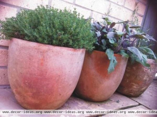 Terracotta Herb Pots