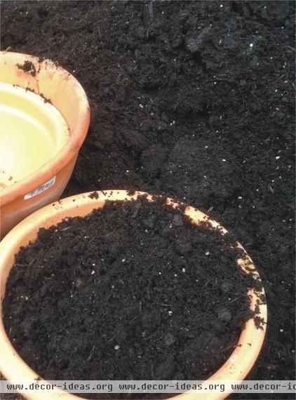 Beat The Frost And Make Terracotta Your Natural Choice