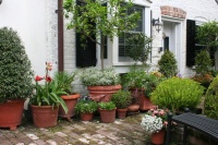 Beat the Frost with Natural Terra-Cotta Containers