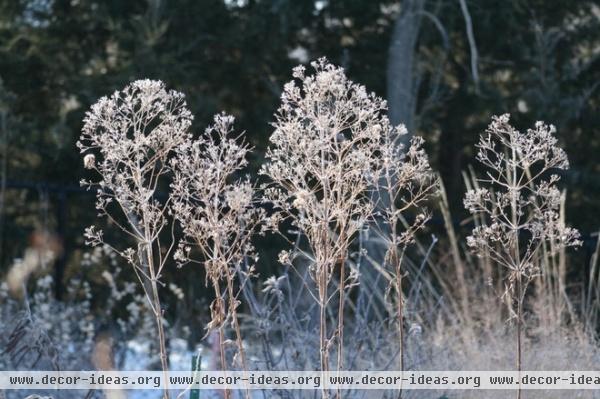 by Benjamin Vogt / Monarch Gardens