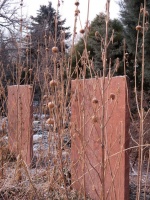 Inspiring Winter Scenes From the Denver Botanic Gardens