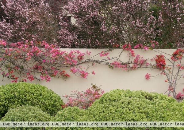 The Art of the Espalier