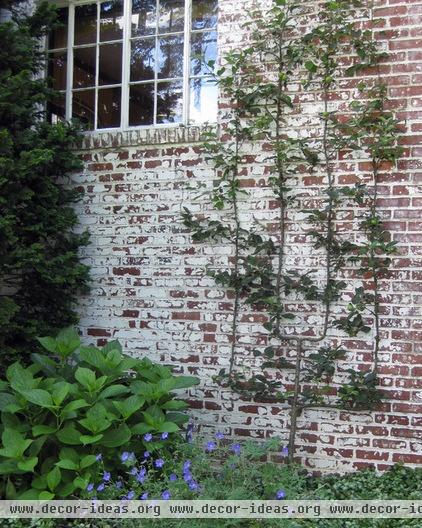 The Art of the Espalier