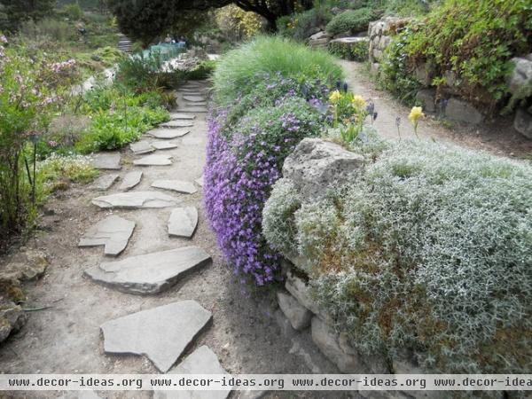 Alpine Plants: High Performers at Low Altitudes Too