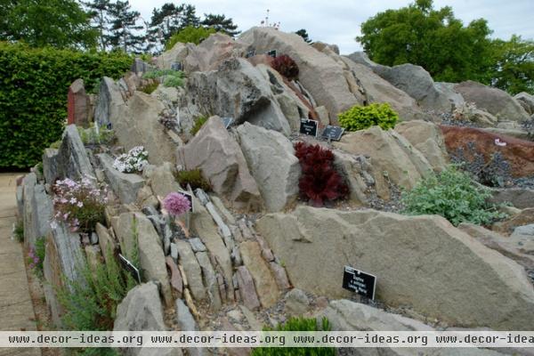 Alpine Plants: High Performers at Low Altitudes Too