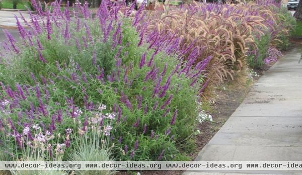 New Year, New Landscape — What to Do in Your January Garden