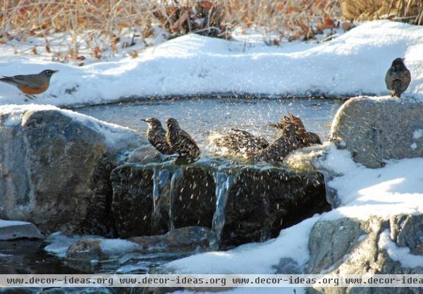 New Year, New Landscape — What to Do in Your January Garden