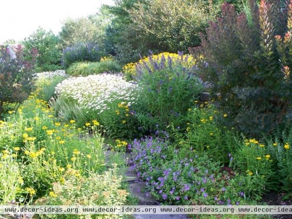 traditional landscape by Dear Garden Associates, Inc.