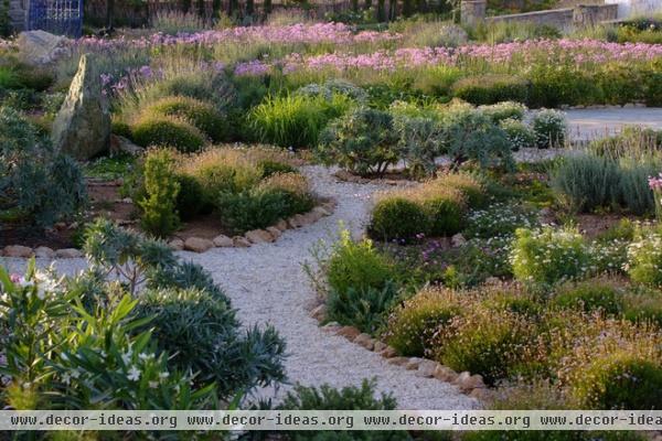 mediterranean landscape by Carolyn Chadwick