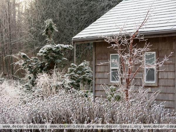 Look Beyond Plants for a Wonderful Winter Garden