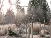 Look Beyond Plants for a Wonderful Winter Garden