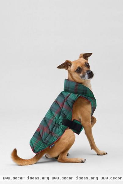 contemporary pet accessories by Lands' End