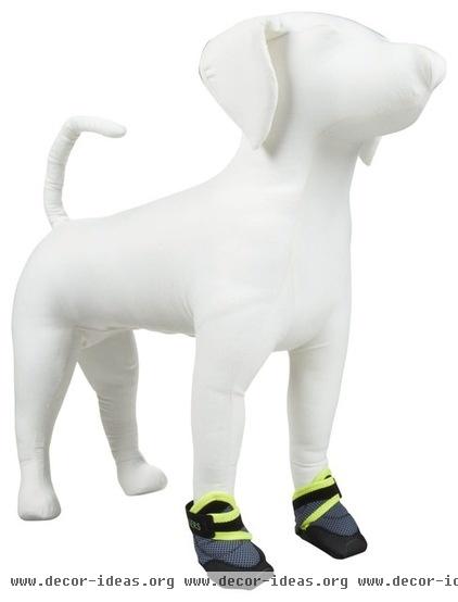 contemporary pet accessories by Wag.com