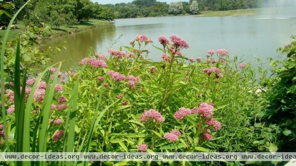 Be a Butterfly Savior — Garden for the Monarchs