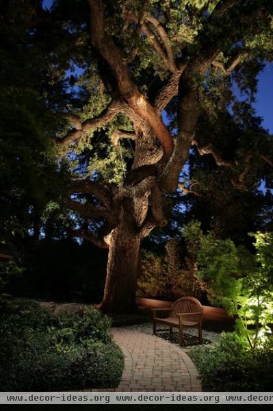 Light Your Landscape for Drama and Function