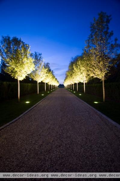 Light Your Landscape for Drama and Function