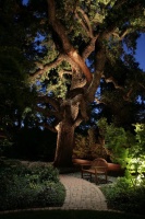 Light Your Landscape for Drama and Function