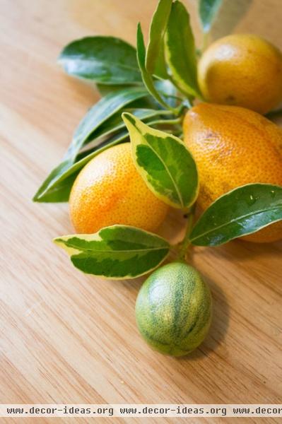 Great Design Plant: Kumquats for a Juiced-Up Winter