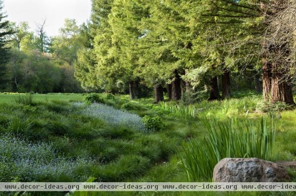 mediterranean landscape by Ron Herman Landscape Architect