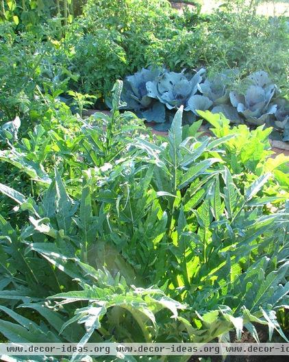 Get a Jump on a Cool-Season Vegetable Garden