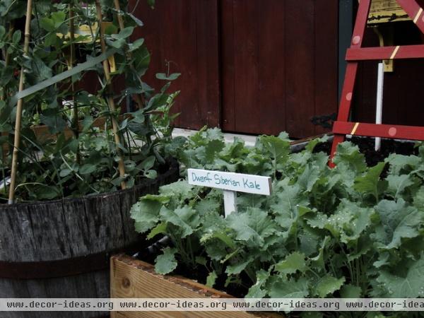 Get a Jump on a Cool-Season Vegetable Garden