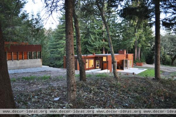 Houzz Tour: A Modern Getaway Nestled in the Trees