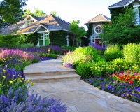 Go for Baroque for a Vivacious, Colorful Garden