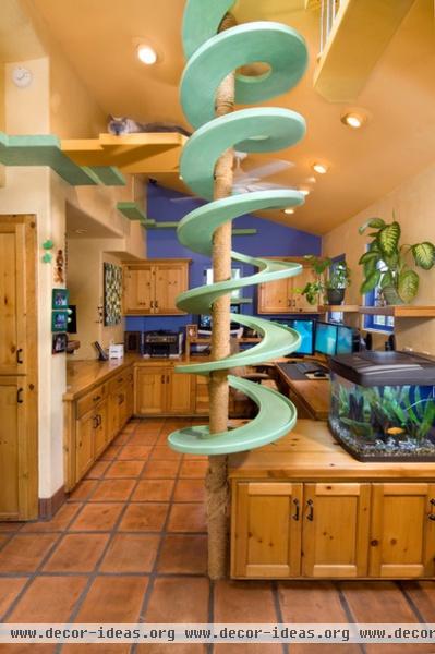 Incredible Home Catwalks Make for Purr-fectly Happy Felines