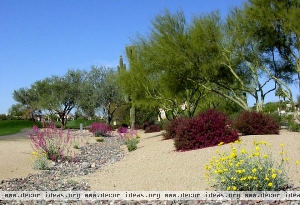 Great Design Plant: Desert Marigold Cheers Up Hot, Dry Areas