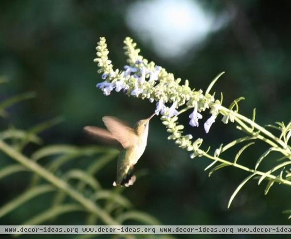 by Benjamin Vogt / Monarch Gardens