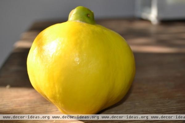 Why Grow Quince? For Beauty, Fragrance and Old-Time Flavor