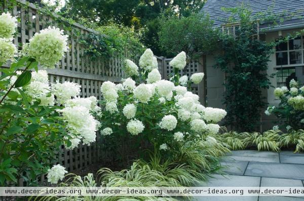 traditional landscape by Westover Landscape Design, Inc.